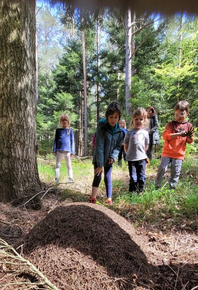 Svenskak klubben Alsace Valborg 2025